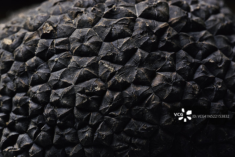 黑松露图片素材