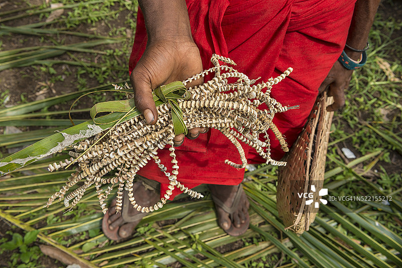 巴布亚新几内亚的传统贝壳货币交易图片素材