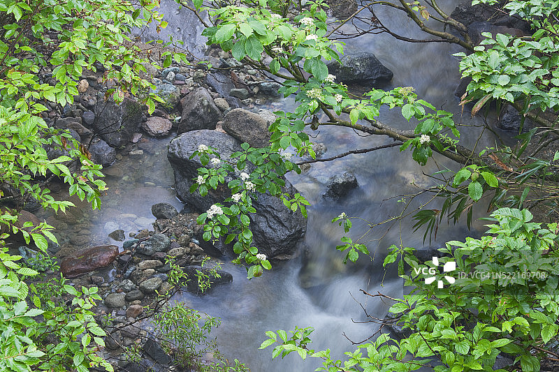 山形县出羽三山灵峰月山的多摩川图片素材