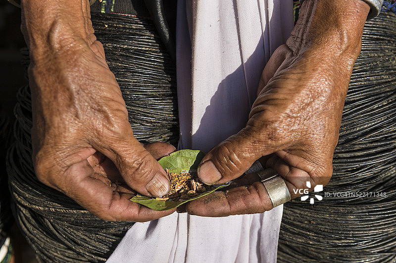 槟榔果实图片素材