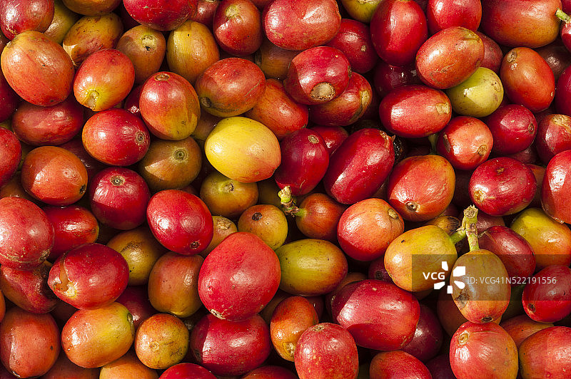 咖啡豆图片素材