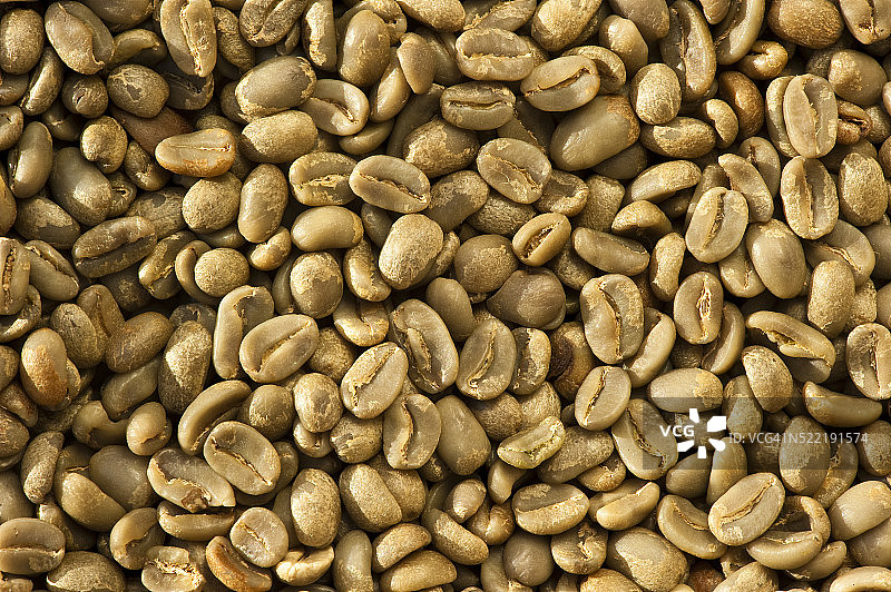 干燥的咖啡豆图片素材