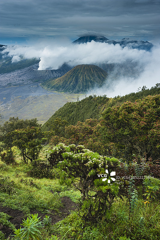 爪哇布罗莫火山图片素材