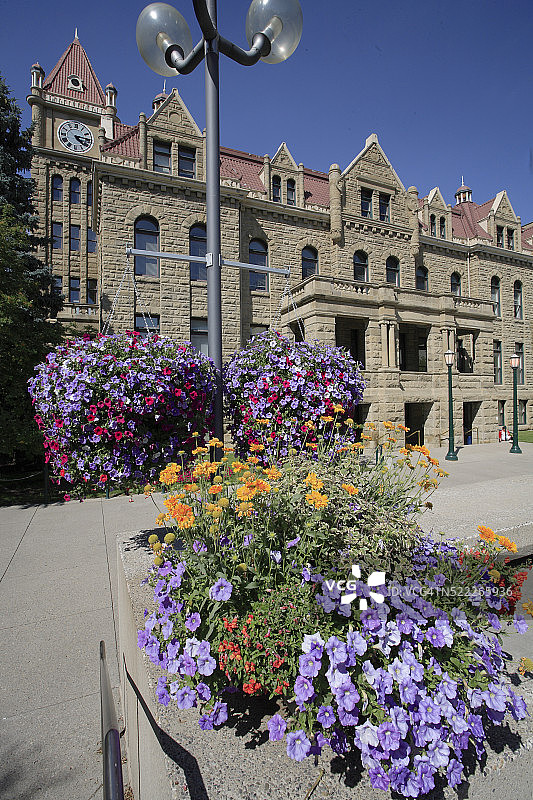 加拿大艾伯塔省卡尔加里市政厅图片素材