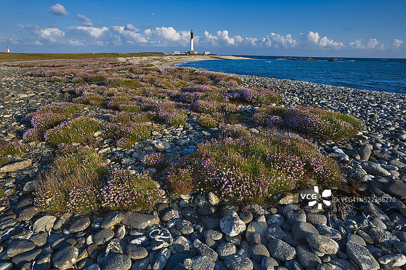 联合国教科文组织生物圈保护区中的塞恩岛图片素材