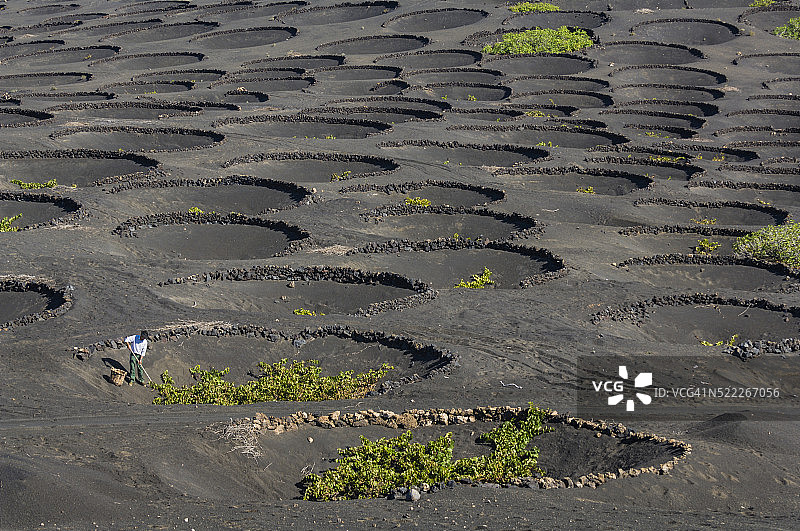 加那利群岛生物圈保护区的农民图片素材