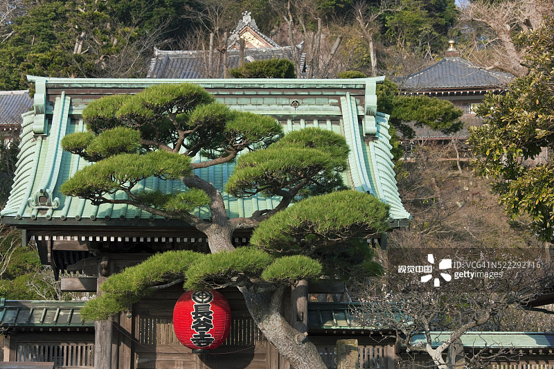 日本镰仓长谷寺的三门图片素材