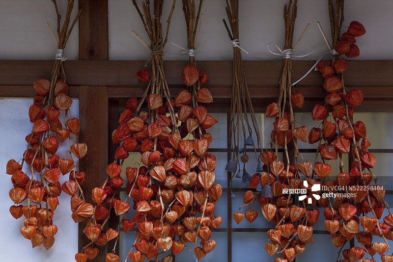 日本京都妙心寺晾晒灯笼果与莲蓬图片素材