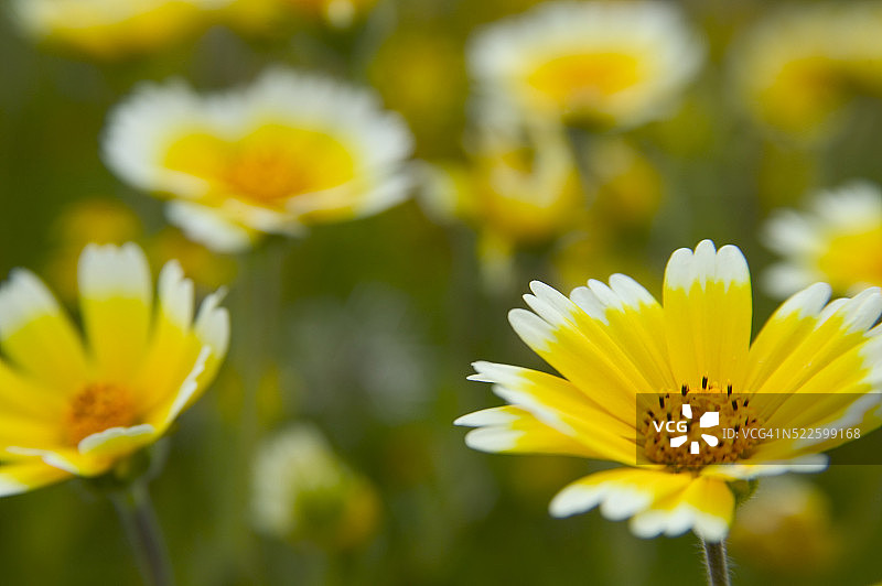整洁的技巧图片素材