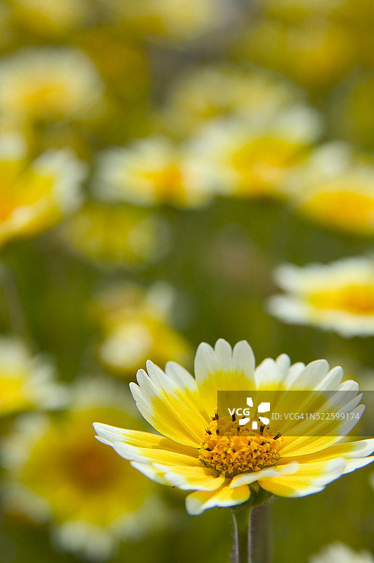 整洁的技巧图片素材