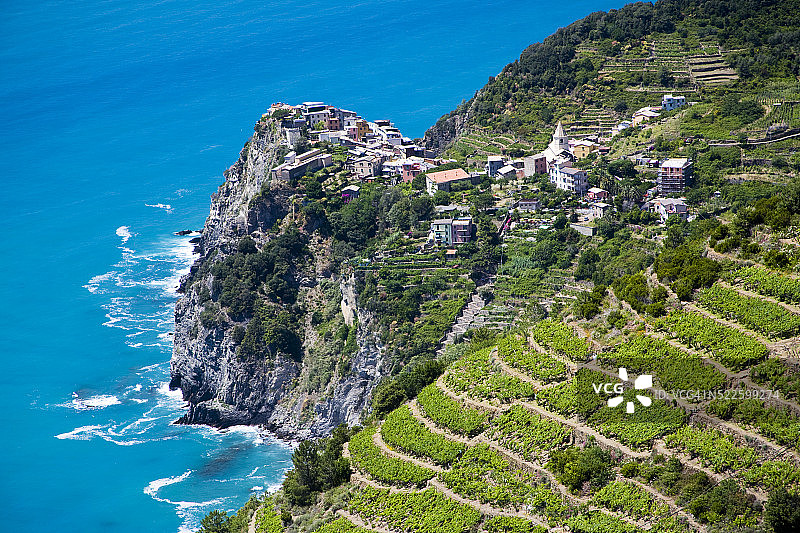 科尔尼利亚周边的山坡葡萄园图片素材