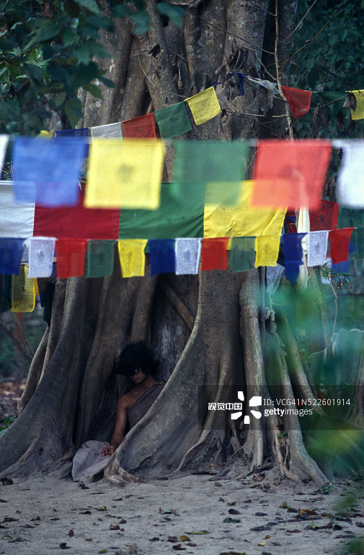 男孩在树干中冥想图片素材