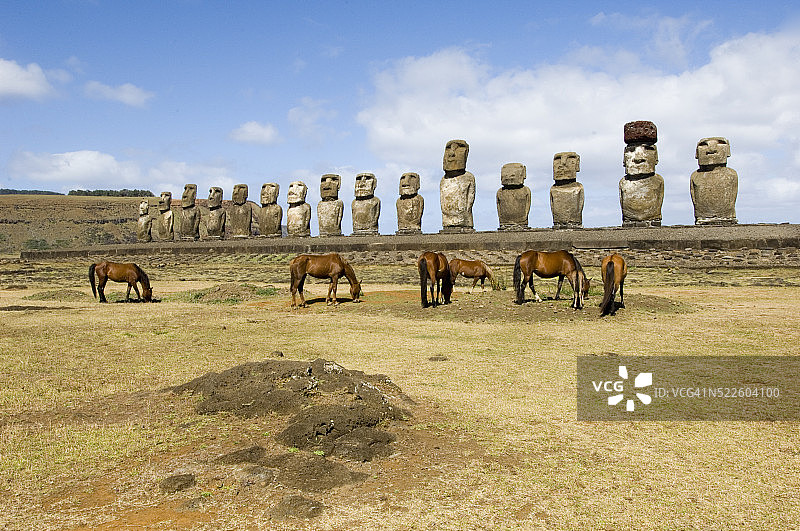 在复活节岛石像下吃草的马图片素材