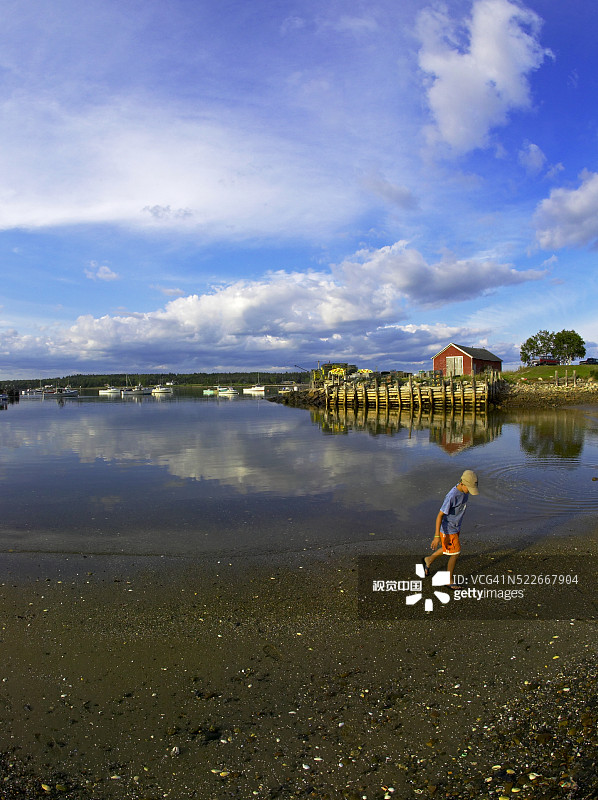 在普罗斯佩克特港海滩上的男孩图片素材