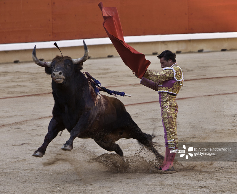 圣费尔明节斗牛活动图片素材