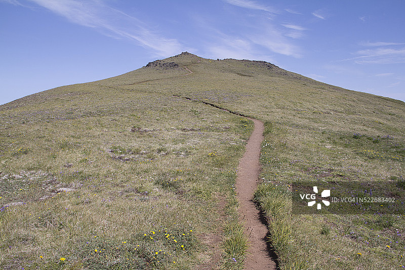徒步，汤森山，奥林匹克山脉图片素材