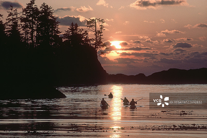 加拿大温哥华岛巴克利湾海上皮划艇之旅图片素材
