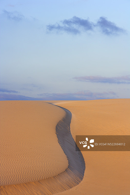 也门索科特拉岛图片素材