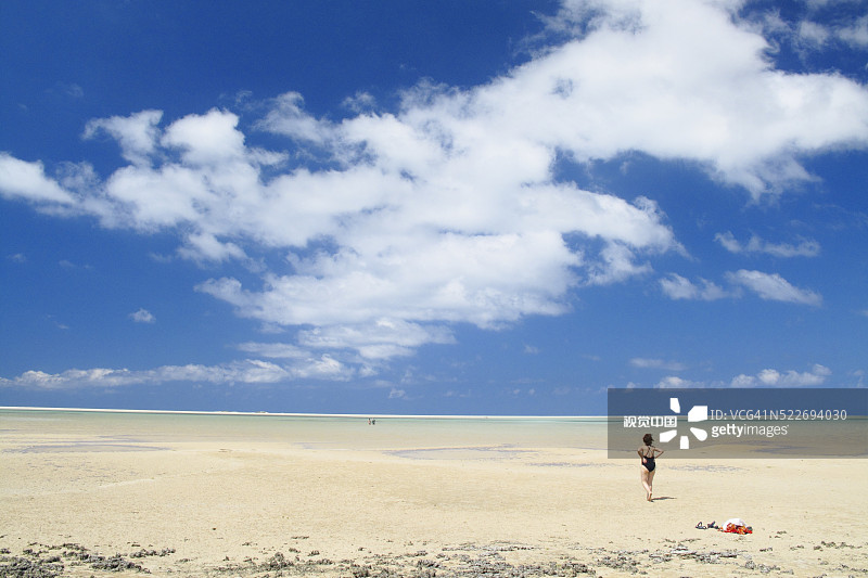 也门索科特拉岛图片素材