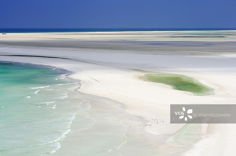 也门索科特拉岛图片素材