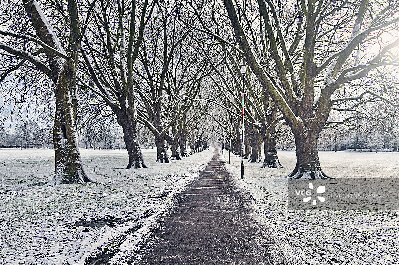 穿过剑桥耶稣绿地的冬季小路图片素材