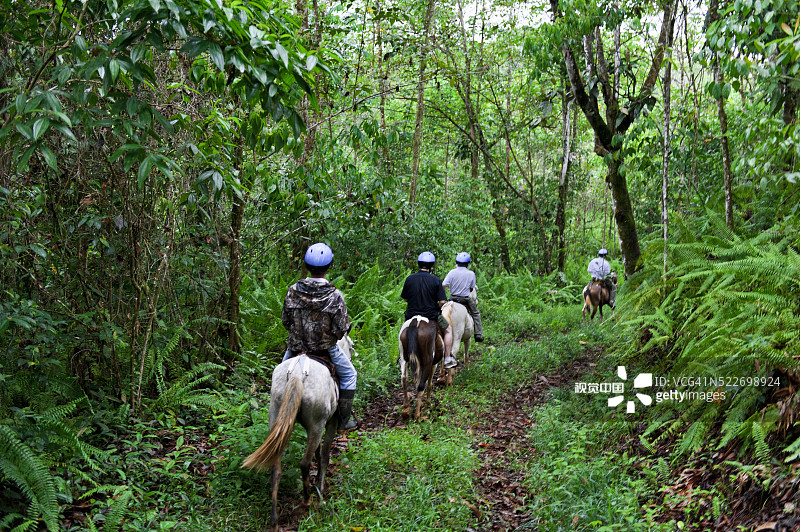 芬卡庞戈拉的辛科塞巴斯私人雨林保护区图片素材