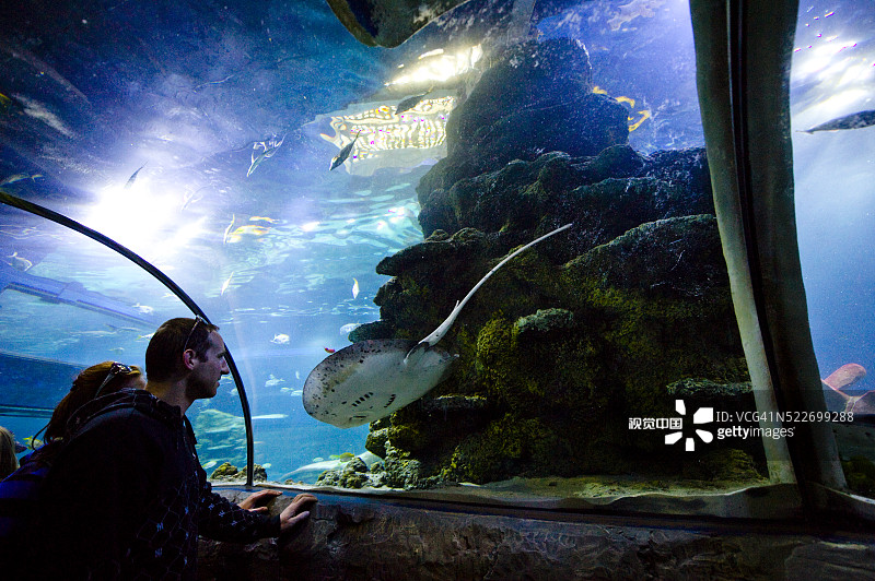 伦敦水族馆图片素材