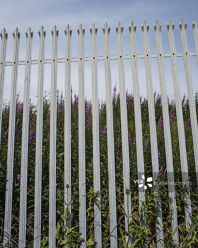 带杂草的栅栏图片素材