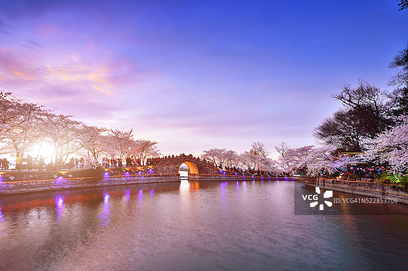 樱花盛开的季节图片素材