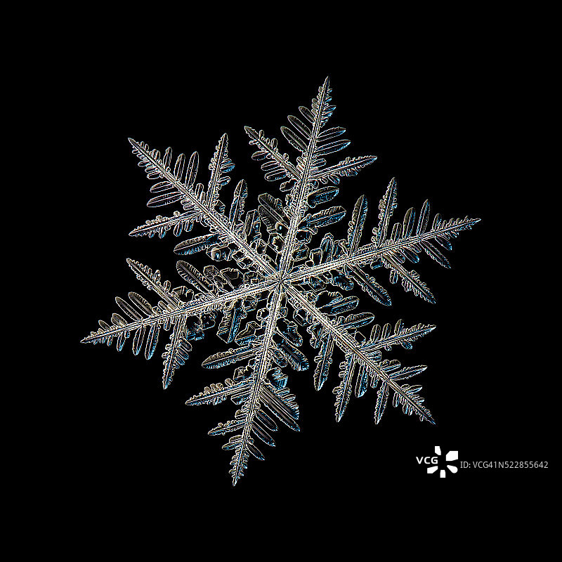 黑色背景上的独立雪花图片素材