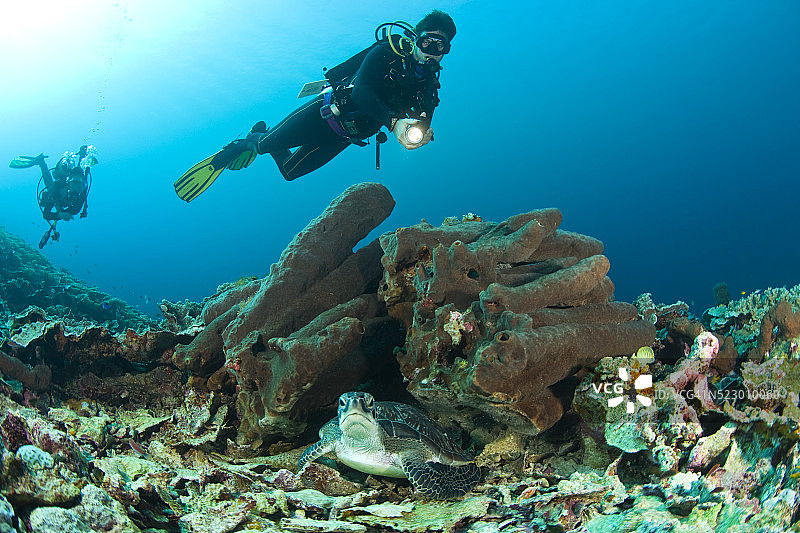 潜水员图片素材