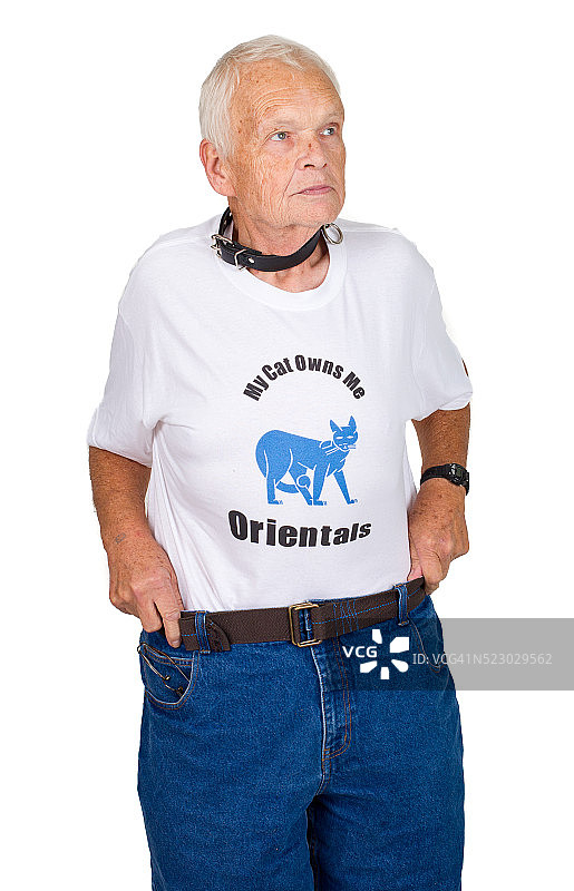 猫展参与者图片素材