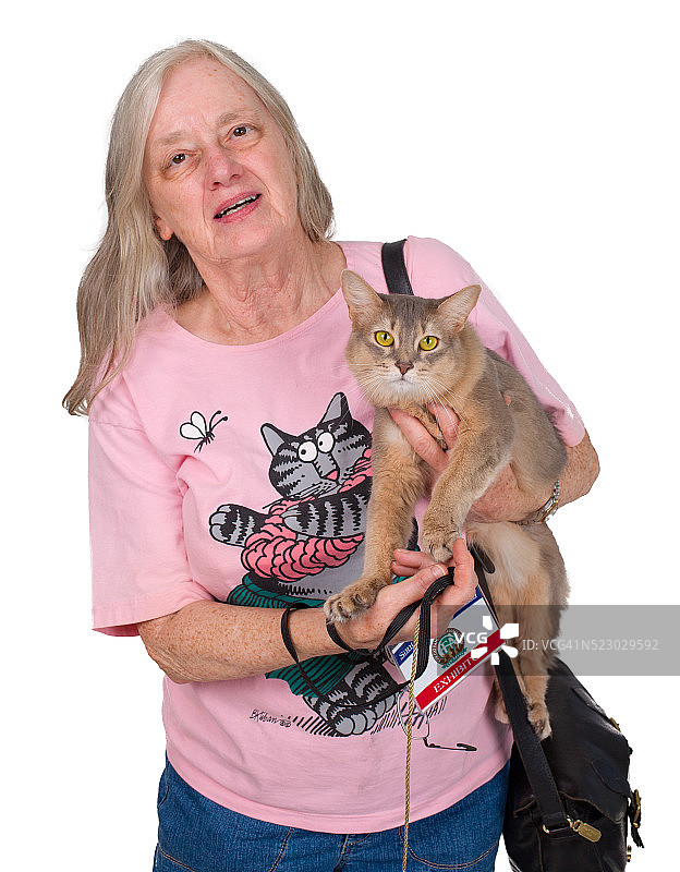 猫展参与者图片素材