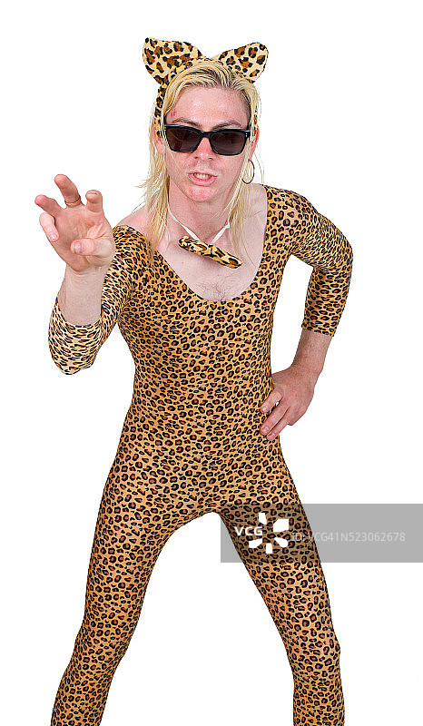 猫展参与者图片素材