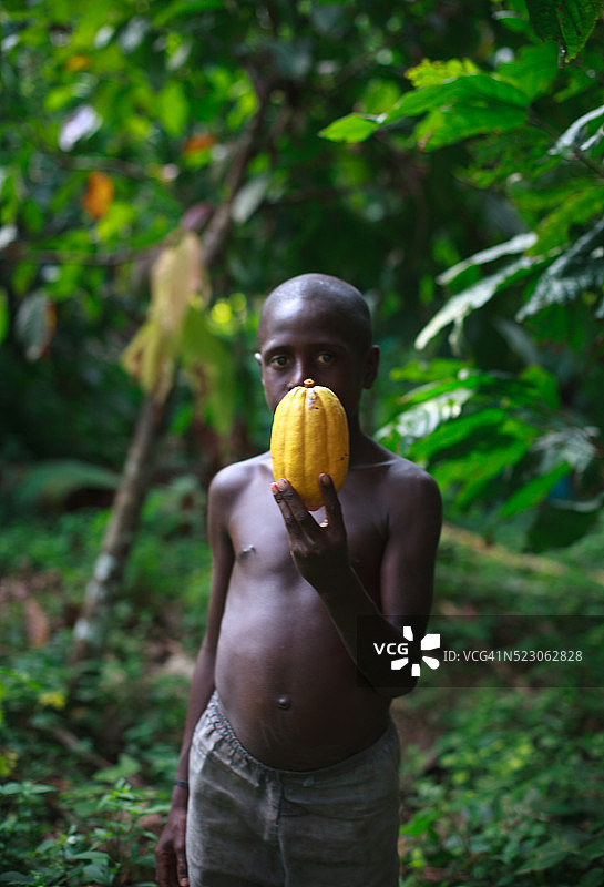 男孩拿着可可豆荚，位于巴布亚新几内亚塞皮克河沿岸图片素材