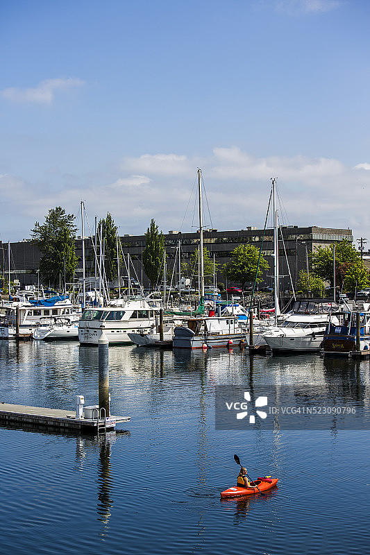 塔科马皮划艇运动图片素材