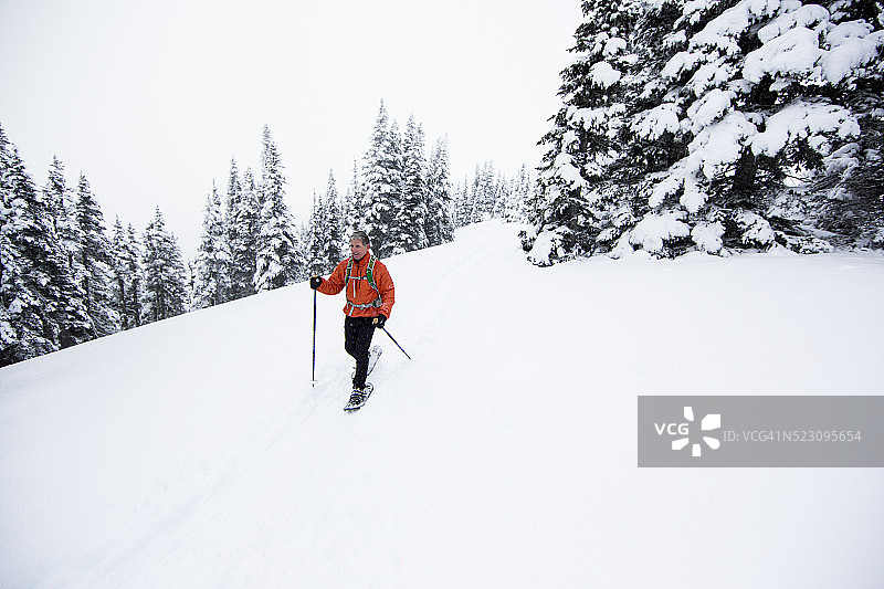 美国华盛顿州奥林匹克国家公园飓风岭的雪鞋健行图片素材