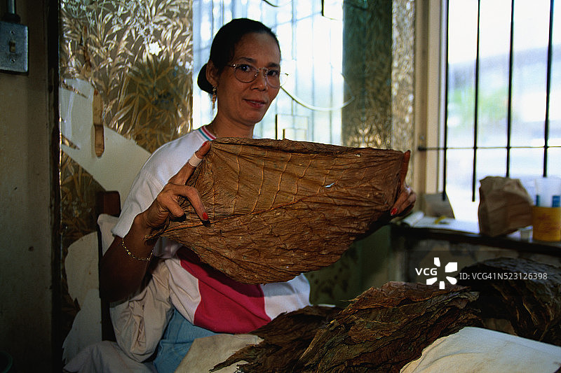 拿着烟叶的卷烟工人图片素材