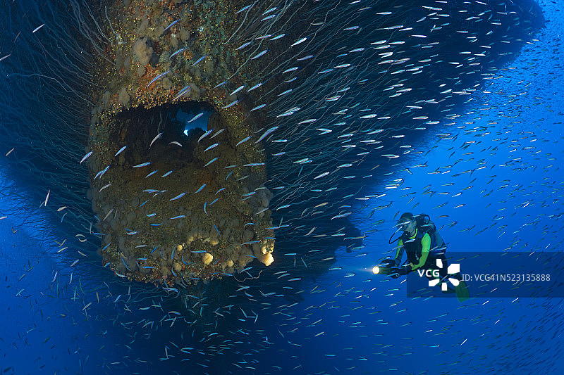 密克罗尼西亚马绍尔群岛萨拉托加号潜水员图片素材