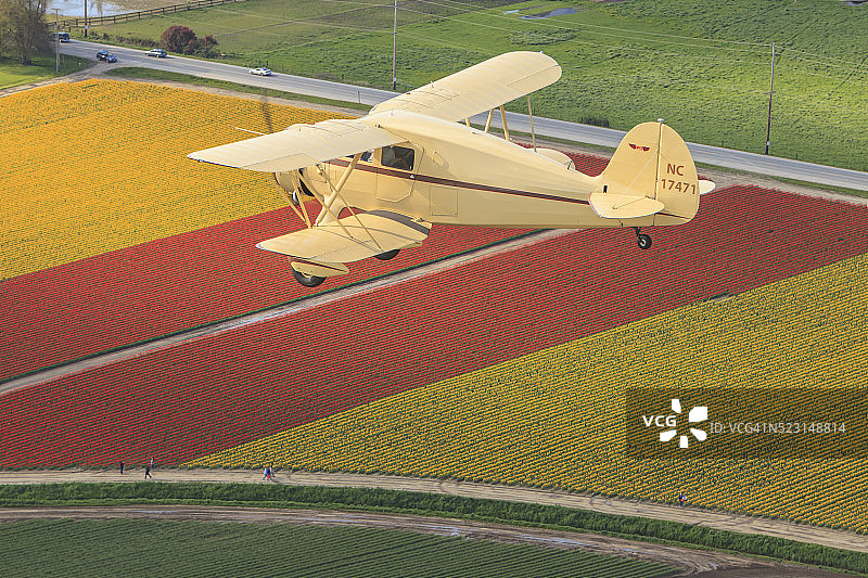 郁金香田野上的双翼飞机图片素材