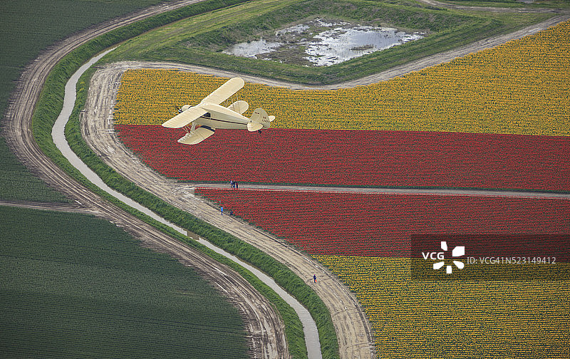 郁金香花田上的双翼飞机图片素材