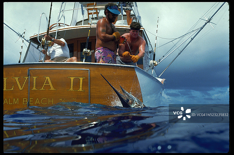 钓到蓝色马林鱼图片素材