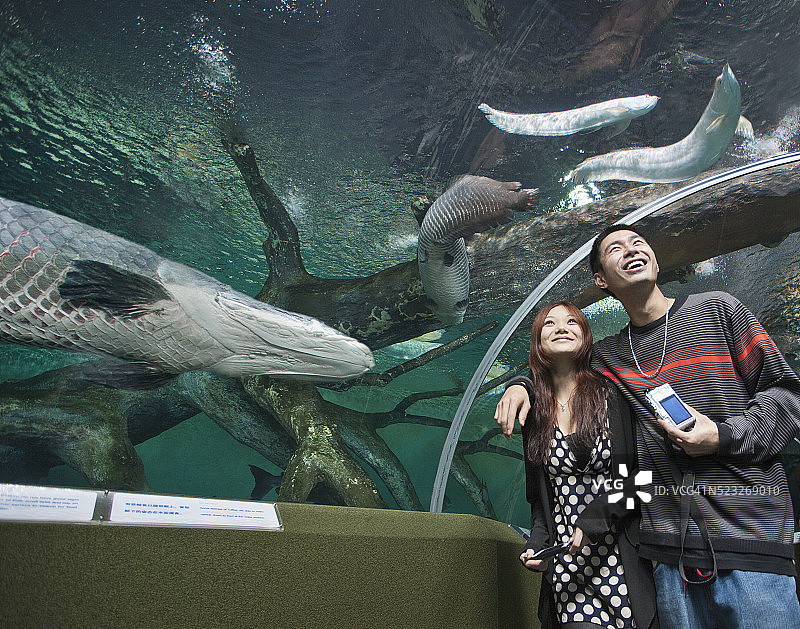游客拿着相机欣赏水族馆的生物展览图片素材