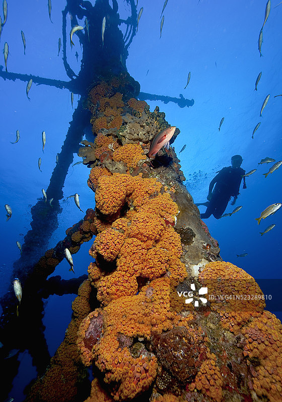 在沉船上的潜水员图片素材