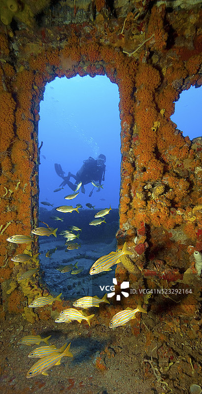 在沉船上的潜水员图片素材