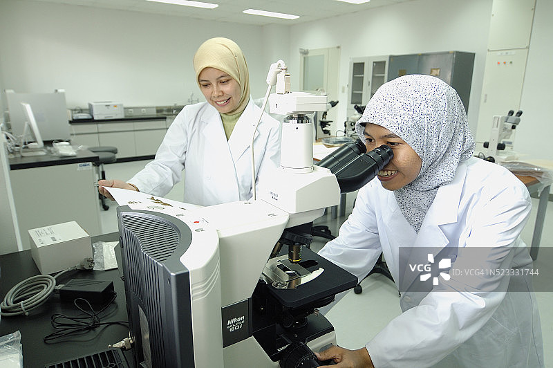 科研人员在实验室工作图片素材