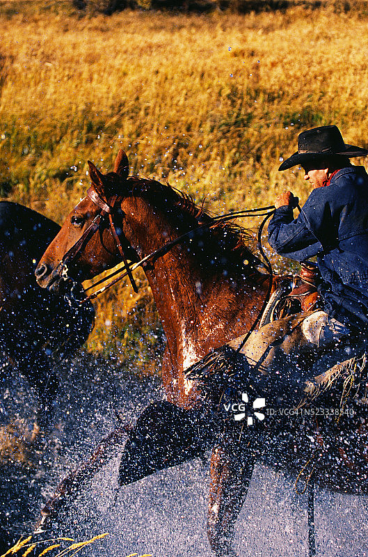 牛仔骑马过河图片素材