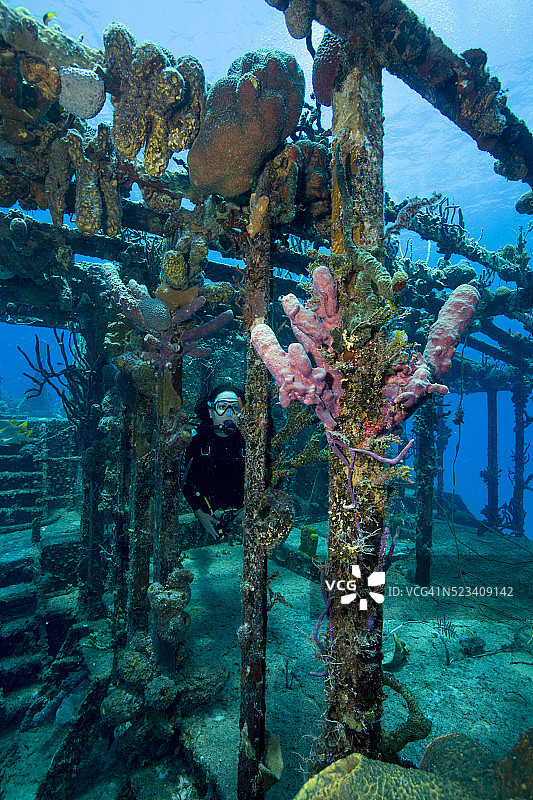 海洋生物的人工栖息地图片素材