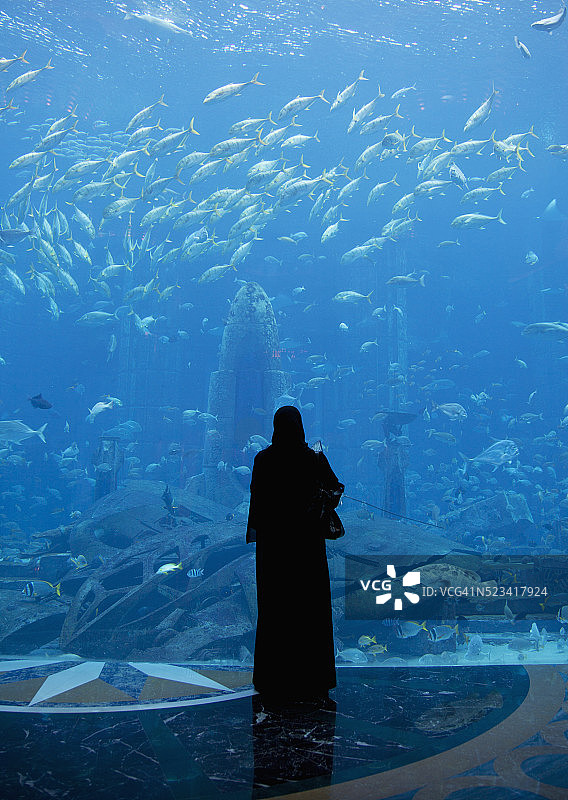 棕榈朱美拉岛亚特兰蒂斯酒店亚特兰蒂斯水族馆图片素材