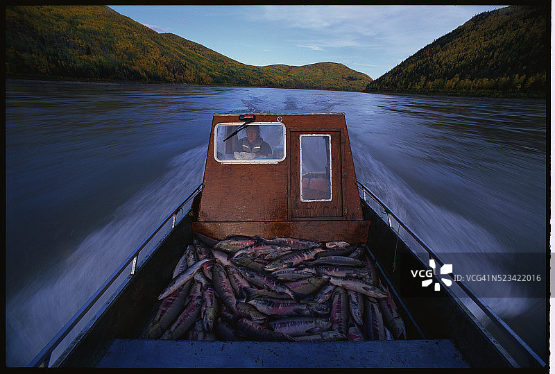 育空河上的渔船图片素材